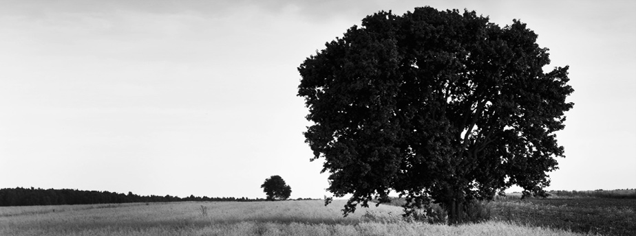 打爆别人电话的软件